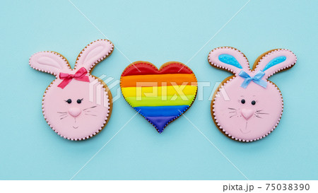 lgbt pride gay love rabbit couple rainbow heart 75038390