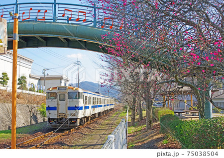 JR九州福岡県の紅梅が咲く早春の西添田駅とうたうはし JR九州福岡県の紅梅が咲く早春の西添田駅とうたうはし 75038504