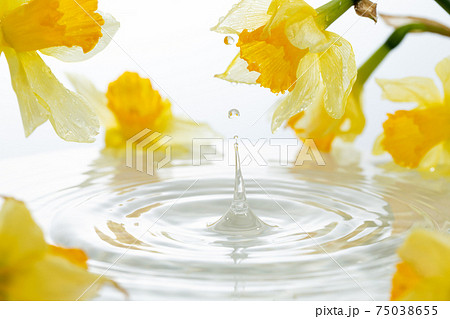 花と水面. 75038655