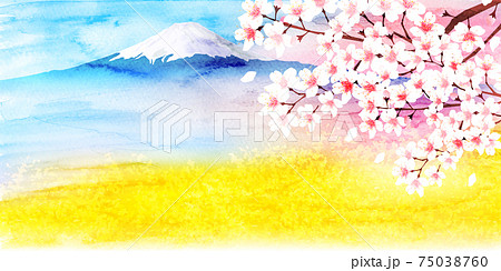 富士山 桜 水彩 背景のイラスト素材