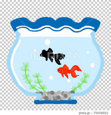 黒い出目金と赤い琉金の金魚が泳いでいる金魚鉢のイラストのイラスト素材