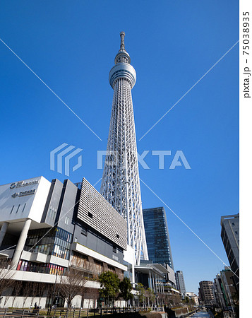 スカイツリーと東京ソラマチ スカイツリーと東京ソラマチ 75038935