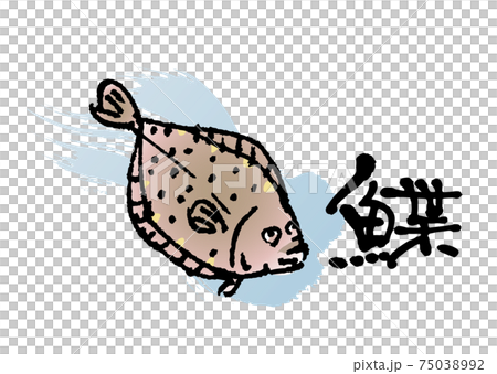 鰈（筆文字・イラストセット） 75038992