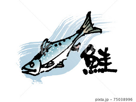 鮭（筆文字・イラストセット） 75038996