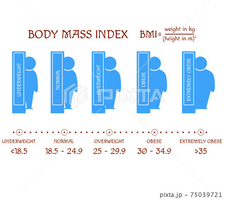 BMI concept. Body shapes from underweight to extremely obese BMI concept. Body shapes from underweight to extremely obese 75039721