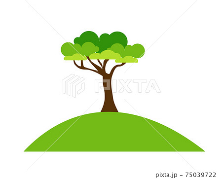 Tree Icon vector illustration Tree Icon vector illustration 75039722