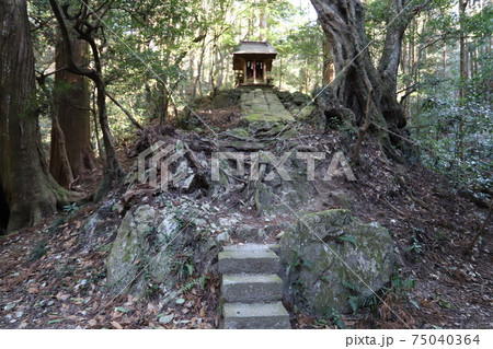 筑波山麓の白滝神社 筑波山麓の白滝神社 75040364