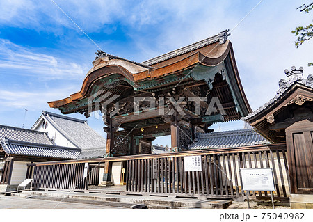 三重県津市一身田 高田本山専修寺の立派な唐門 三重県津市一身田 高田本山専修寺の立派な唐門 75040982
