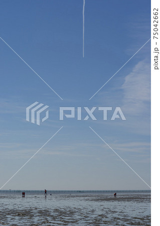 空 乗馬 海 75042662