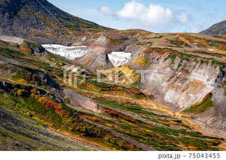 北海道・大雪山系の赤岳山頂で見た、山頂周辺の紅葉と万年雪のような雪が残る風景 75043455