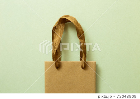 Brown kraft paper shopping Bag on green background. top view 75043909