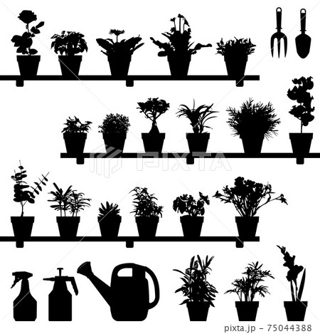 Flower Plant Pot Silhouette.  75044388