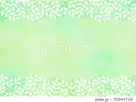 背景素材 木の葉 新緑 若葉のイラスト素材