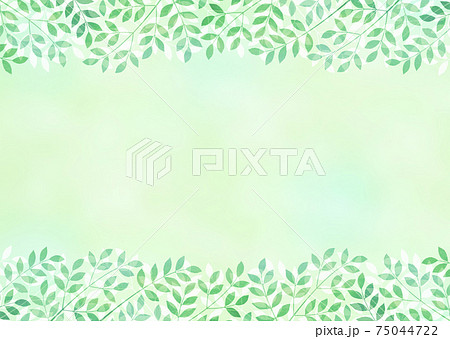 背景素材 木の葉 新緑 若葉のイラスト素材