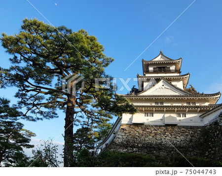 四国土佐の名城　高知城 75044743