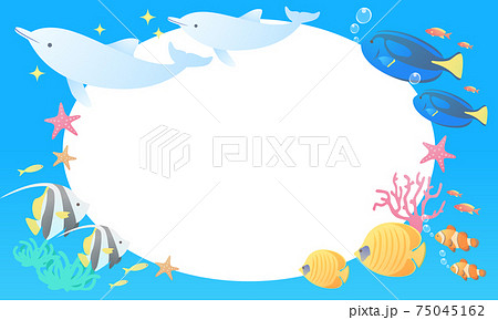 夏のイルカや熱帯魚のマリンなベクターイラストフレーム メッセージカード コピースペース のイラスト素材