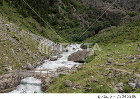 View closeup river scenes in mountains, national park Switzerland View closeup river scenes in mountains, national park Switzerland 75045886