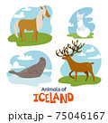 Animals of Iceland in flat modern style design 75046167