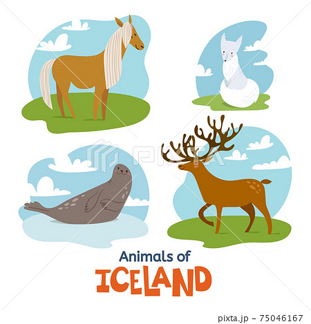 Animals of Iceland in flat modern style design 75046167