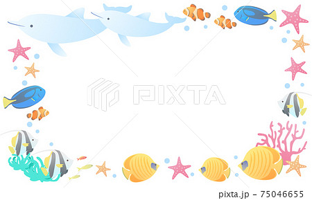 夏のイルカや熱帯魚のマリンなベクターイラストフレーム メッセージカード コピースペース のイラスト素材