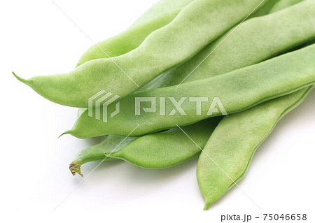 ヒラサヤインゲン 75046658