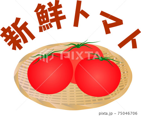 かわいいトマトの挿絵 かわいいトマトの挿絵 75046706