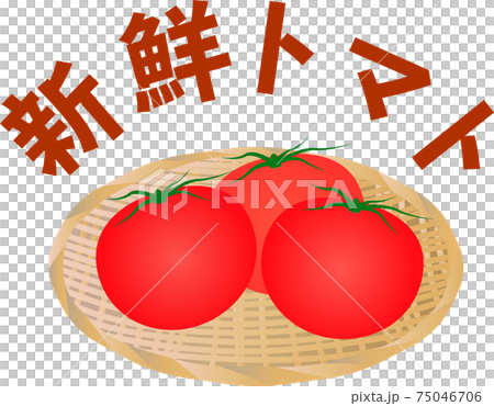 かわいいトマトの挿絵 かわいいトマトの挿絵 75046706