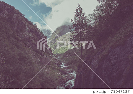 Panorama view of mountains scene in national park of Dombay, Caucasus, Russi Panorama view of mountains scene in national park of Dombay, Caucasus, Russi 75047187