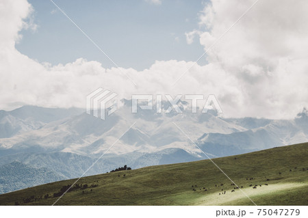 Closeup view mountains and valley scenes in national park Dombai, Caucasus Closeup view mountains and valley scenes in national park Dombai, Caucasus 75047279