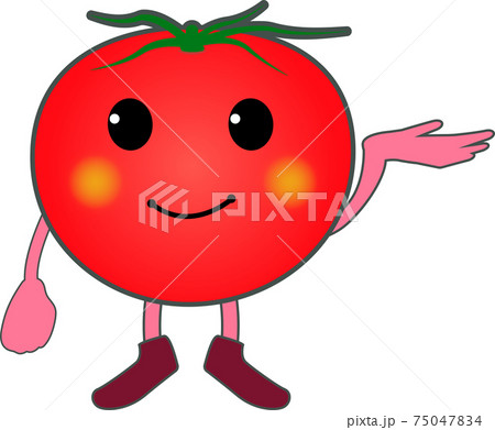 案内するかわいいトマトのキャラクター 左手 のイラスト素材