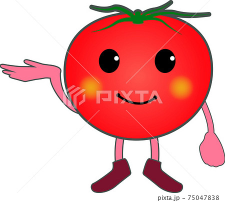 案内するかわいいトマトのキャラクター 右手 のイラスト素材
