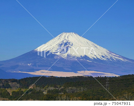 三島市から見た富士山 75047931