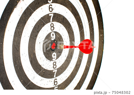 darts 75048302