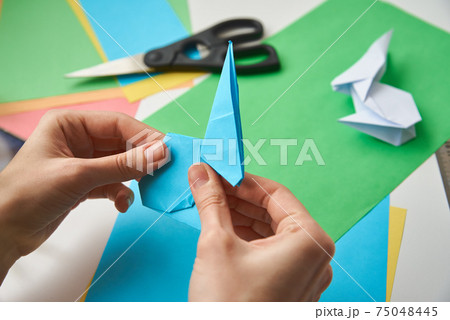 DIY concept. Woman make origami easter rabbit from color paper. Origami lessons DIY concept. Woman make origami easter rabbit from color paper. Origami lessons 75048445