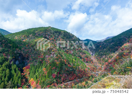 大荒の滝　もみじ峡展望所からの眺望　（高知県　香美市）	 75048542
