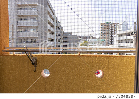 鳥よけネットをつけたアパートのベランダ 鳥よけネットをつけたアパートのベランダ 75048587