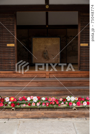 霊鑑寺門跡　椿の寺 75048774