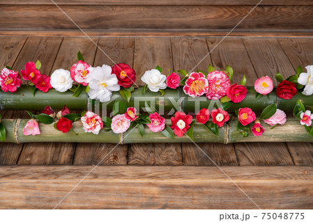 椿寺 霊鑑寺 椿寺 霊鑑寺 75048775