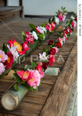 霊鑑寺　椿寺 75048776