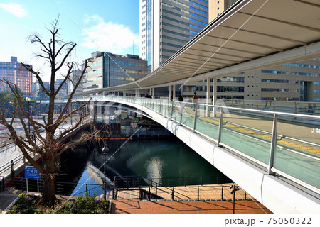 桜木町駅から横浜市庁舎に続くペディストリアンデッキ 桜木町駅から横浜市庁舎に続くペディストリアンデッキ 75050322