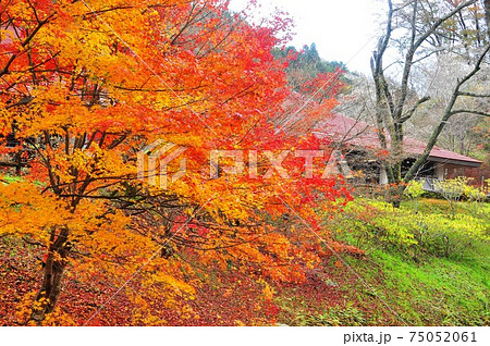 愛知県豊田市　小原和紙のふるさとの和紙工芸体験館と紅葉 75052061