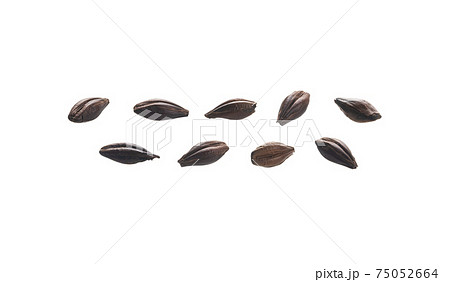 A set of roasted rye malt grains. Isolated on a white background 75052664