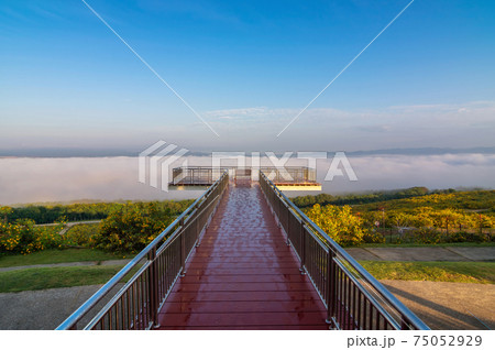 Landscape nature flower Tung Bua Tong, View point. Landscape nature flower Tung Bua Tong, View point. 75052929