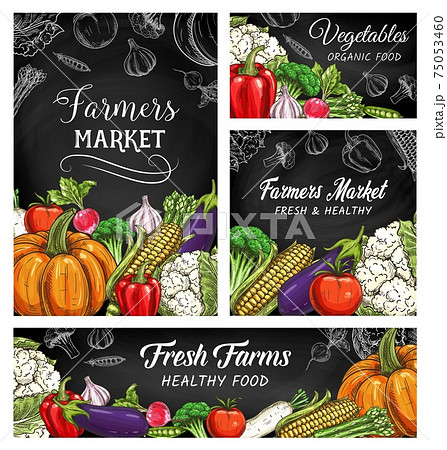 Fresh vegetable or veggie sketches on blackboard 75053460