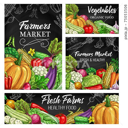 Vegetable sketches on blackboard, fresh farm food 75053506