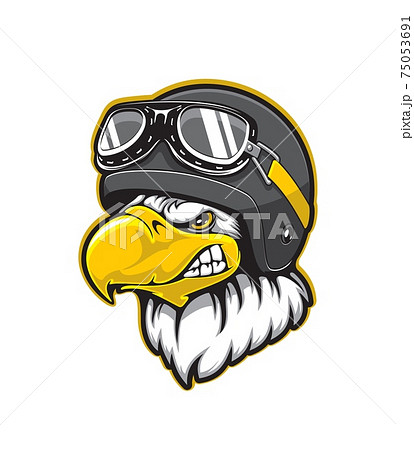 Pilot eagle bird mascot, aviator helmet, goggles 75053691