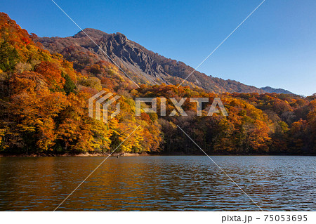 秋の世界自然遺産白神山地の崩山 75053695