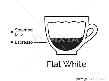 Infographic of Flat White coffee recipe 75053756