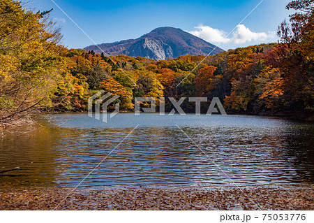 秋の世界自然遺産白神山地の崩山 75053776