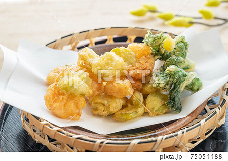 そら豆と海老とタラの芽の天ぷら 75054488